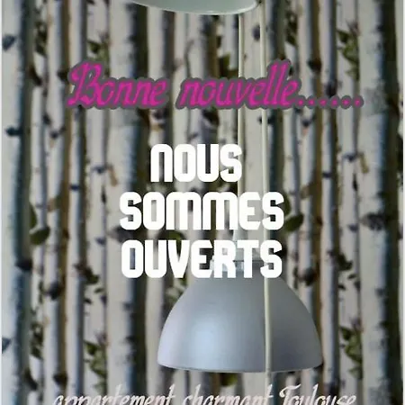 Apartment Charmant Toulouse